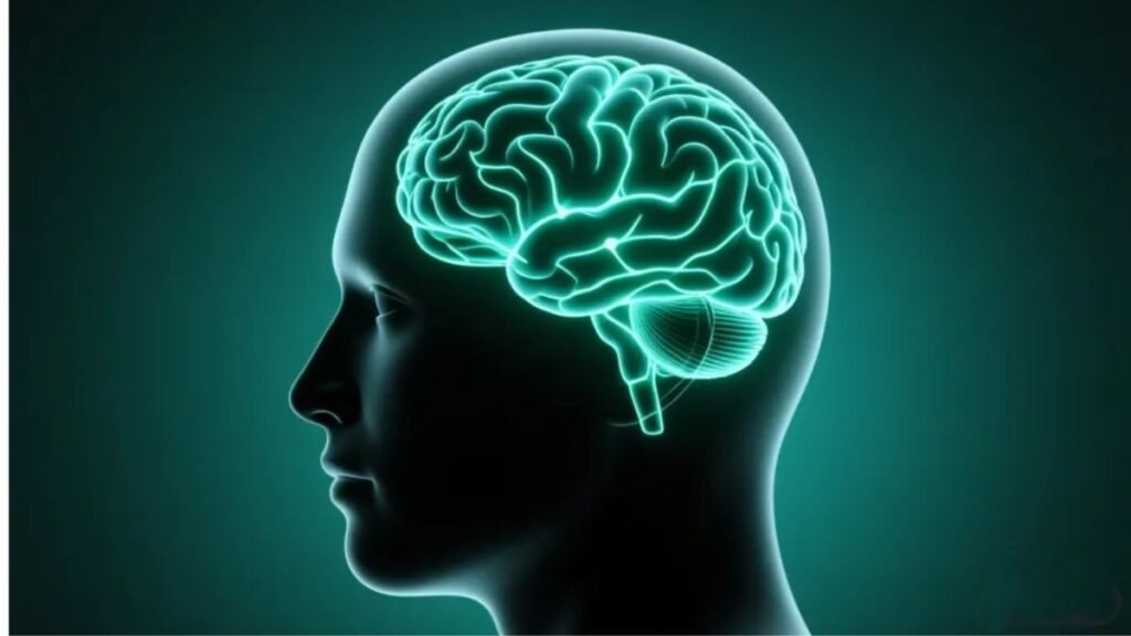 Silhueta de cabeça humana com rede neural brilhante representando a atividade cerebral e o papel do magnésio quelato na prevenção de enxaquecas